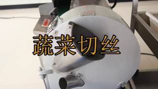 DQC101 Multifunctional Vegetable Cutter