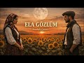 Ela Gözlüm - Anatolian Rock&amp;Psyhdelic Ai Cover