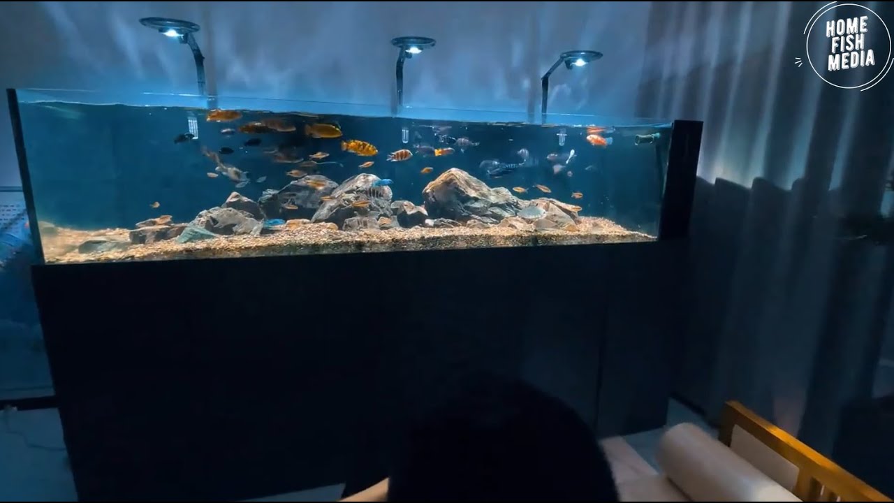 Visual idea from this collection