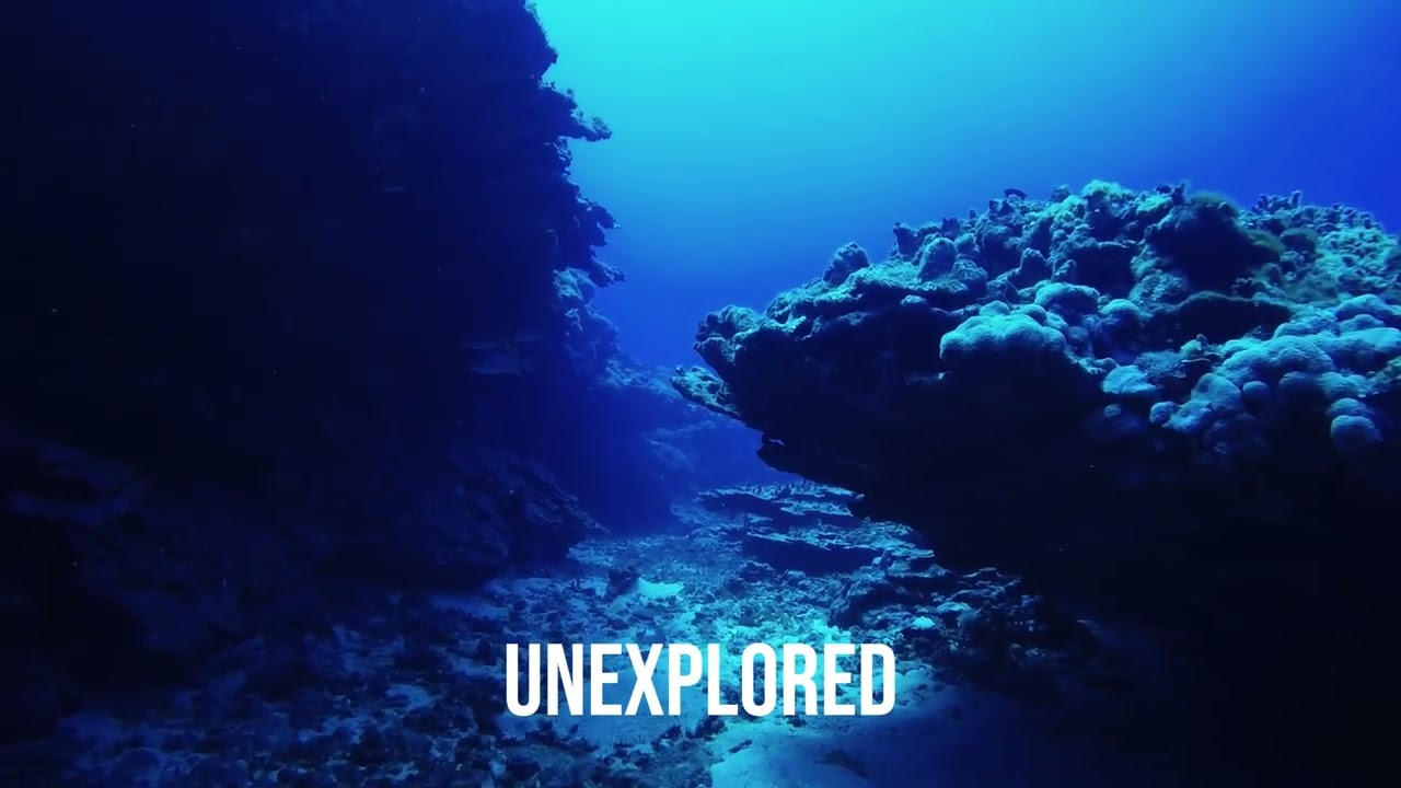 Why Deep Water Terrifies Us