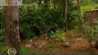 Download Biyaheng Totoo : Apayao Video MP3 Biyaheng Totoo : Apayao