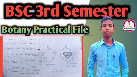 Bsc 3rd semester botany|| practical file||3rd semester practical File|| Botany practical File