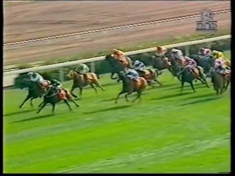 [賽馬]2003香港短途錦標 精英大師  14/12/2003