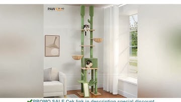 Cactus Cat Tree Floor to Ceiling Cat Tower 7 Tiers Cat Climbing Tree with Cozy Hammocks and Condos 5