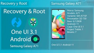Recovery y Root One UI 3.1 Android 11 - Samsung Galaxy A71