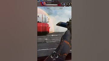 #1 Wattson Playing With Fences