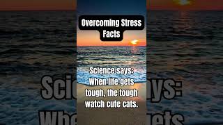 Overcoming Stress Facts psychologyfacts psychology quotes life  factshorts stressrelief