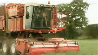 APG Pea Harvest 2011