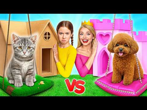 Строим Секретные Домики для Животных | Богатая Собака vs Бедная Кошка c Multi DO Smile
