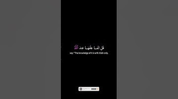 #القران_الكريم 🌿سورة الأحزاب🌿يسألك الناس عن الساعة⏰ 📖 Surah  Al-Ahzab 📖#quran