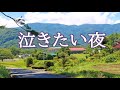 泣きたい夜 瀬川瑛子 COVER