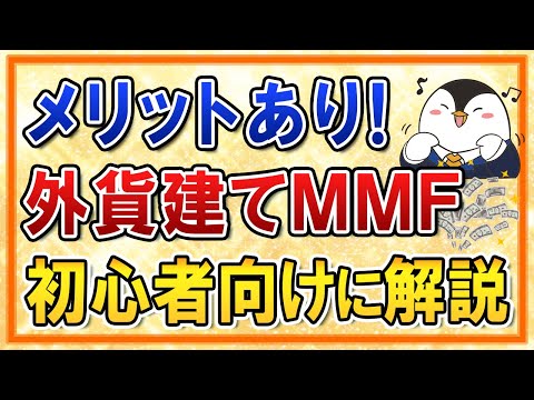 【メリットあり】外貨建てMMFってなに？外貨預金との比較 ...