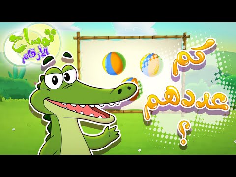 Marah Tv قناة مرح برنامج تمساح الأرقام تحدي عد الارقام 