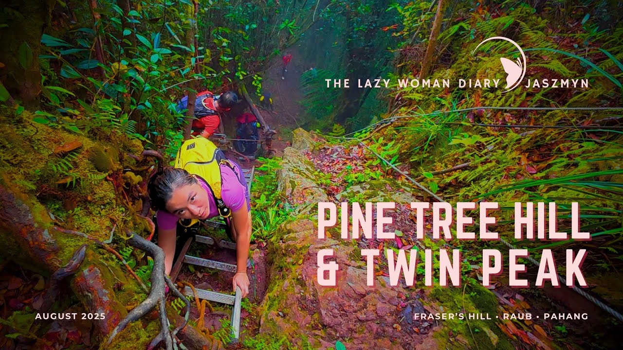 Pine Tree Trail
