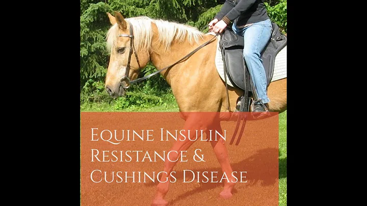 Equine Insulin Resistance & Cushings Disease - Jai...