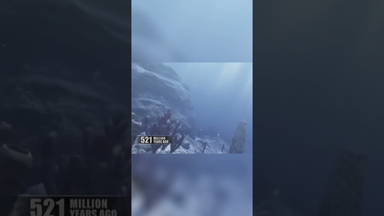 The Power of Adaptation  How Natural Selection Shapes Life on Earth