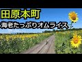 道の駅人気No1オムライスとヒマワリ畑【奈良 田原本町】