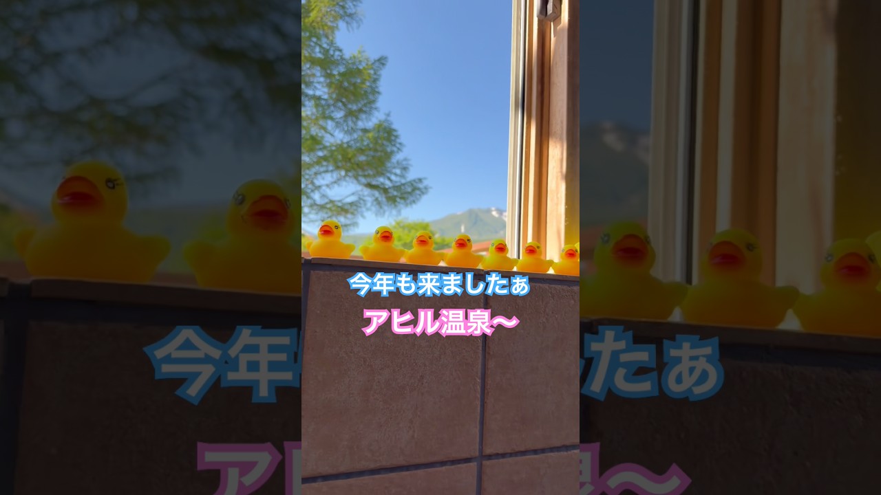 ネコと子ネコとおじさんのネコ無し動画 今年も来ましたアヒル温泉〜 八甲田山の秘湯アヒル温泉〜 #shorts #青森県 #八甲田 #八甲田山 #アヒル温泉 #みちのく深沢温泉