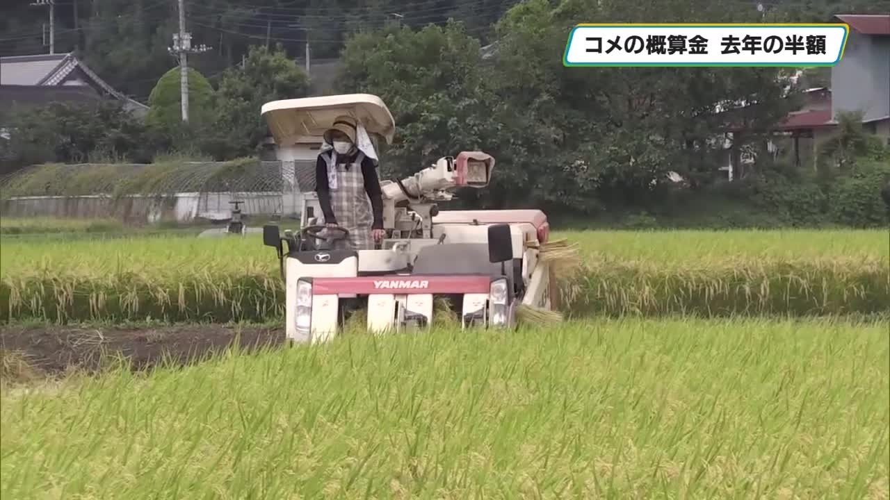 栃木県はコシヒカリの概算金1万5500円に決定 家計には朗報 生産者
