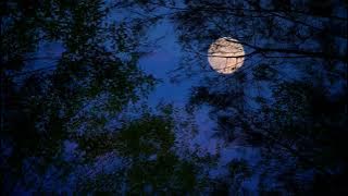 Mentahan video efek pemandangan bulan malam hari