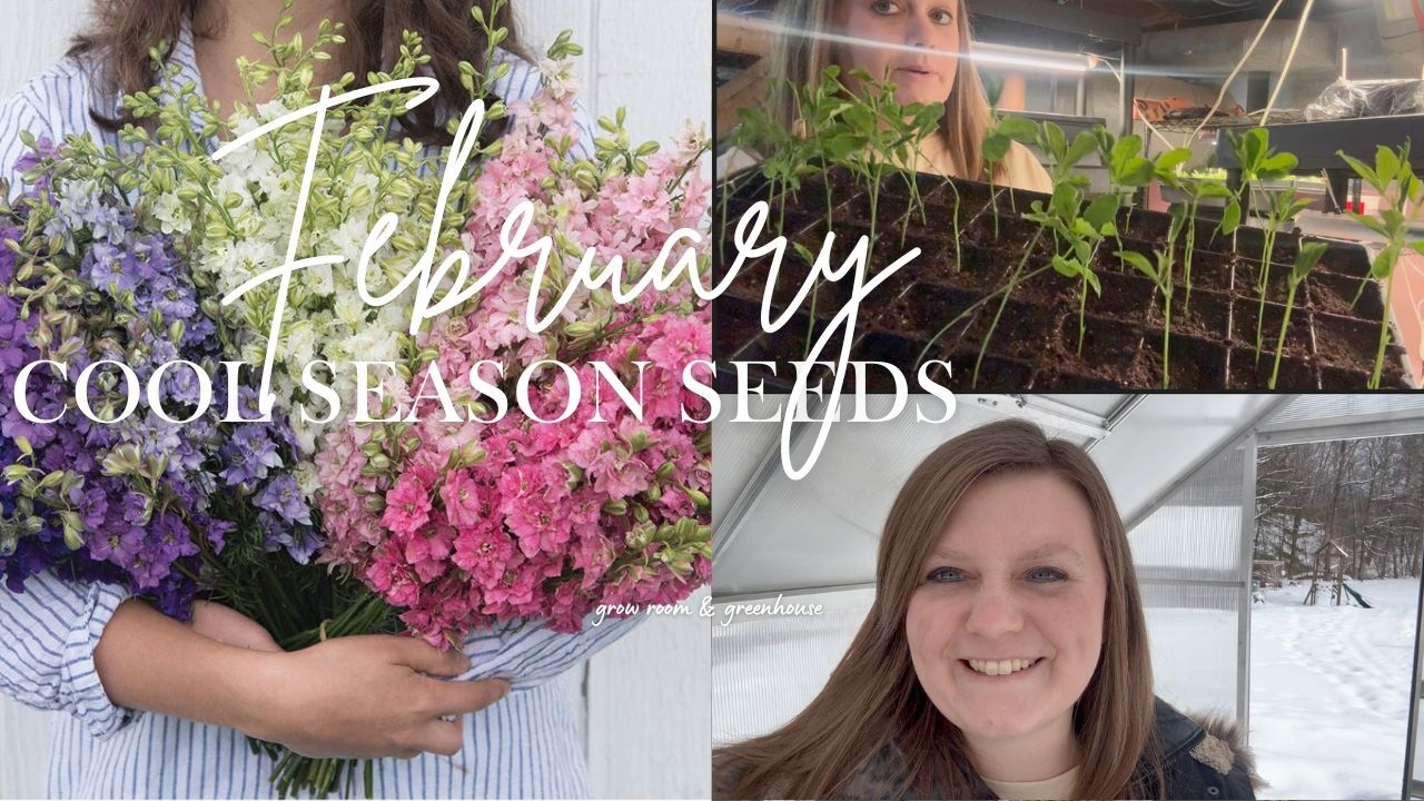 February Seed Starting and Seedling Update