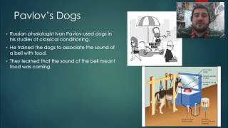 6-1: Classical Conditioning