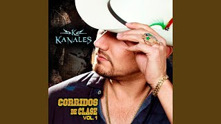 Perro Tejonero - Kanales