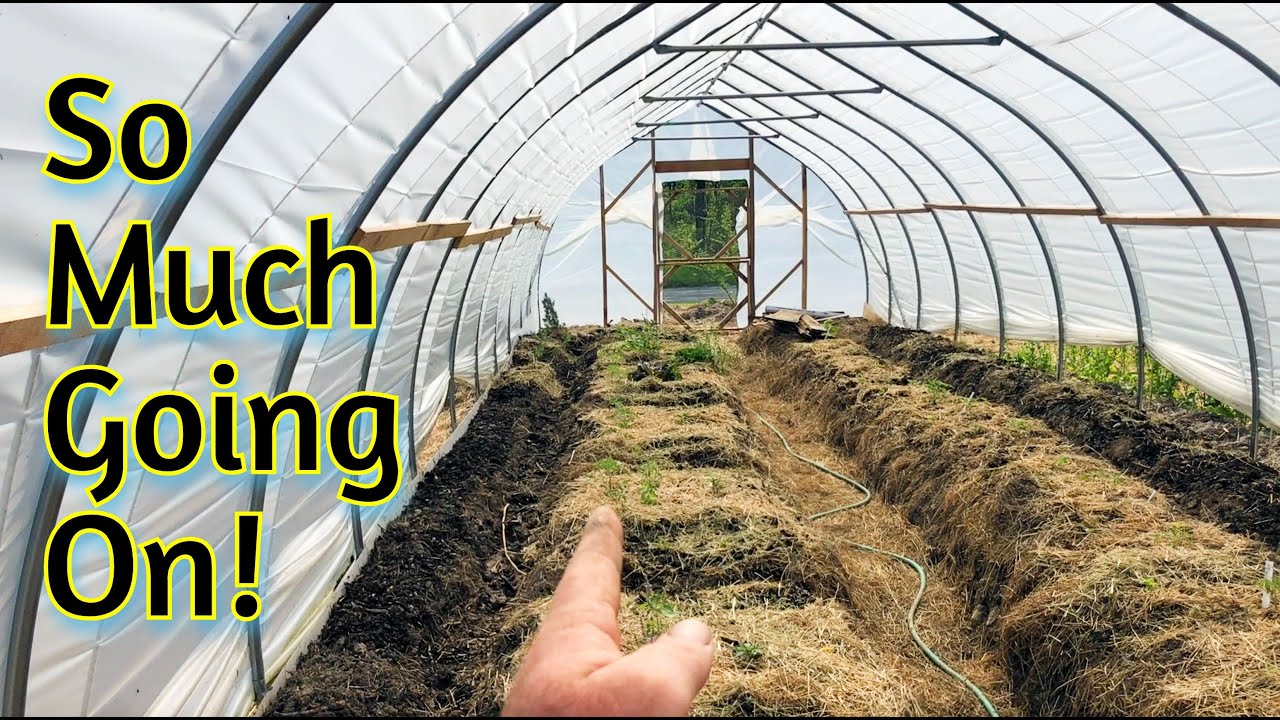 Spring Tour - High Tunnel, Pond, Rice and MORE!