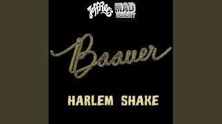 Video thumbnail of "Baauer - Harlem Shake"