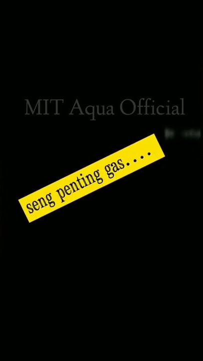 🗣️ : seng penting gass ||story' wa ikan channa asiatica x barca #shorts #channa