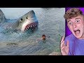 MASSIVE Shark sneaks up on boy..