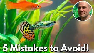 Guppy Keeping Fails: Learn from These 5 Common Mistakes