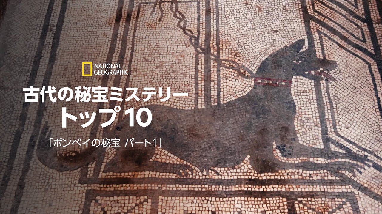 ポンペイ展京都22 京都観光研究所ブログ