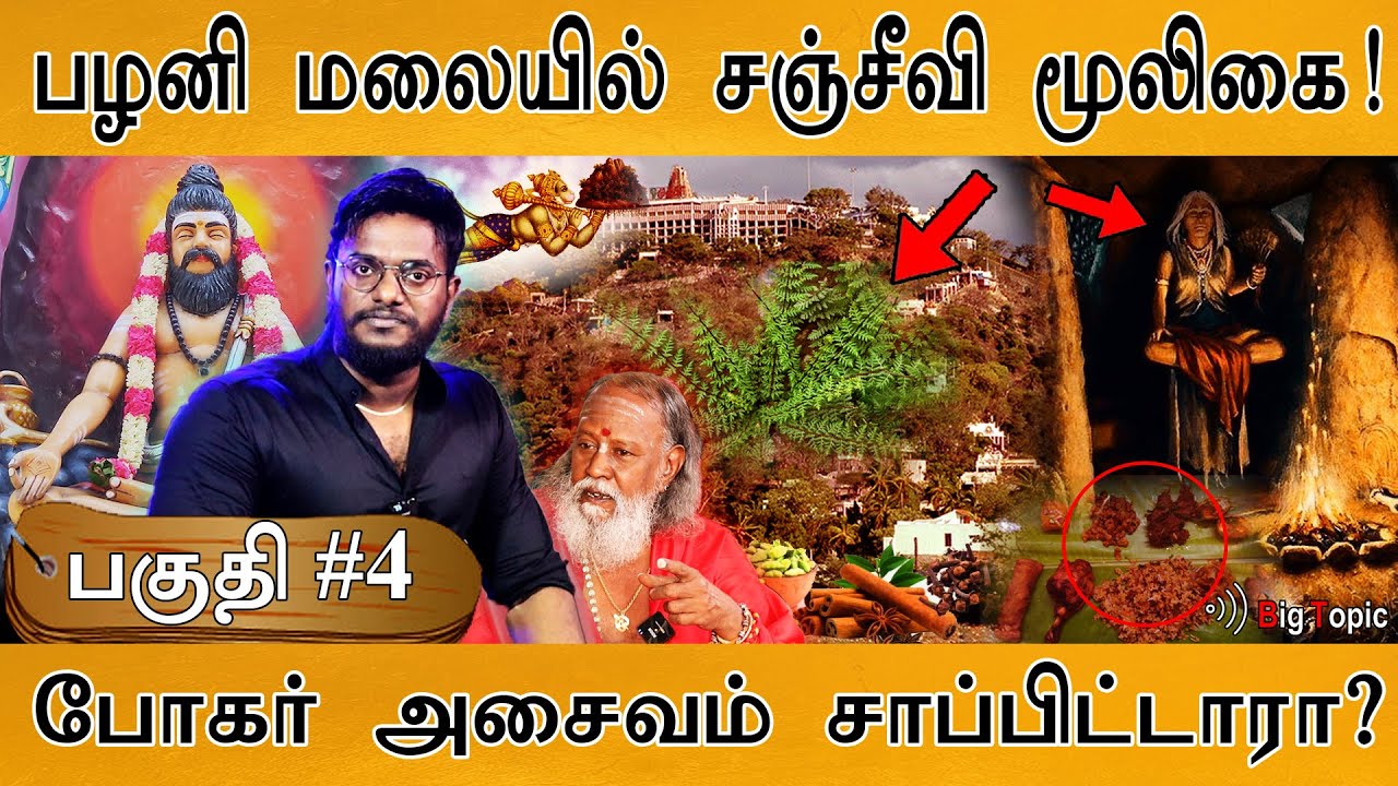 பழனியில் சஞ்சீவி மூலிகை | Documentary : Palani Navapashanam - Boghar - Pulipani | Murugar | 🔴PART 4
