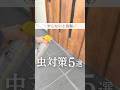 やらないと後悔
