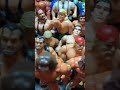 My WWF Hasbro collection. #shorts #wwf #wwe #hasbro #wrestlingfigures #canadianbulldog