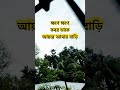 ক্ষণে ক্ষণেকবর ডাকে আয়রে আমার বাড়ি #love #motivation #shortsviral #waz #bangla #বাংলাগজল #bangla