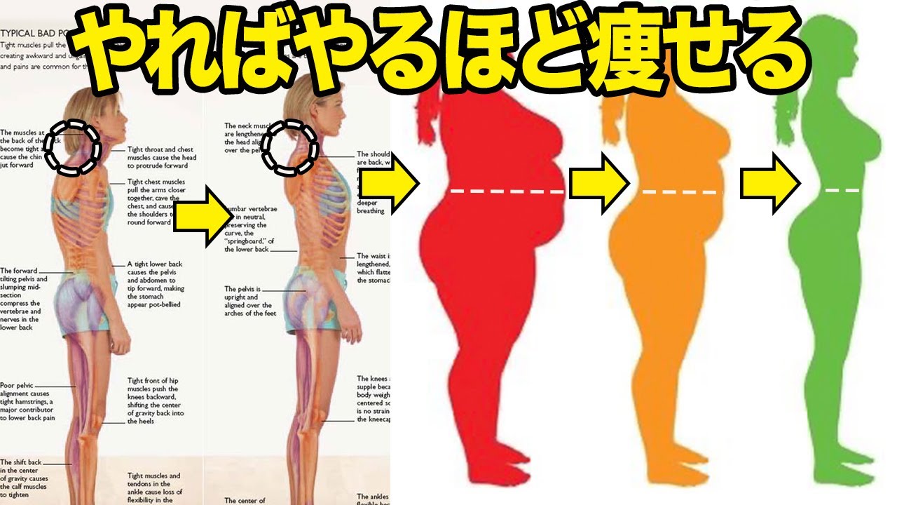Stomach thinning in one go] Stretching method to make sure your