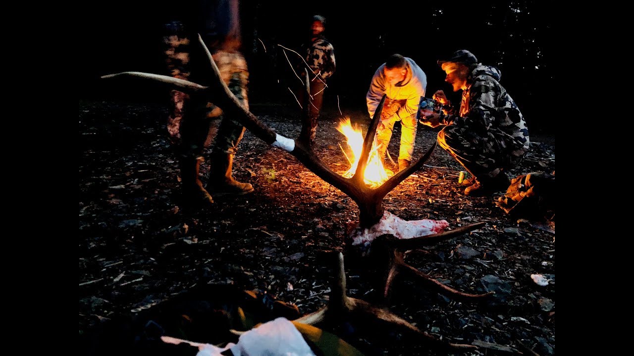 Elk Hunting in Washington YouTube
