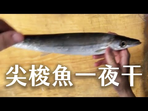 【海洋主廚愛爾文魚類處理】如何處理尖梭魚一夜干？｜How to deal with the Short barracuda?