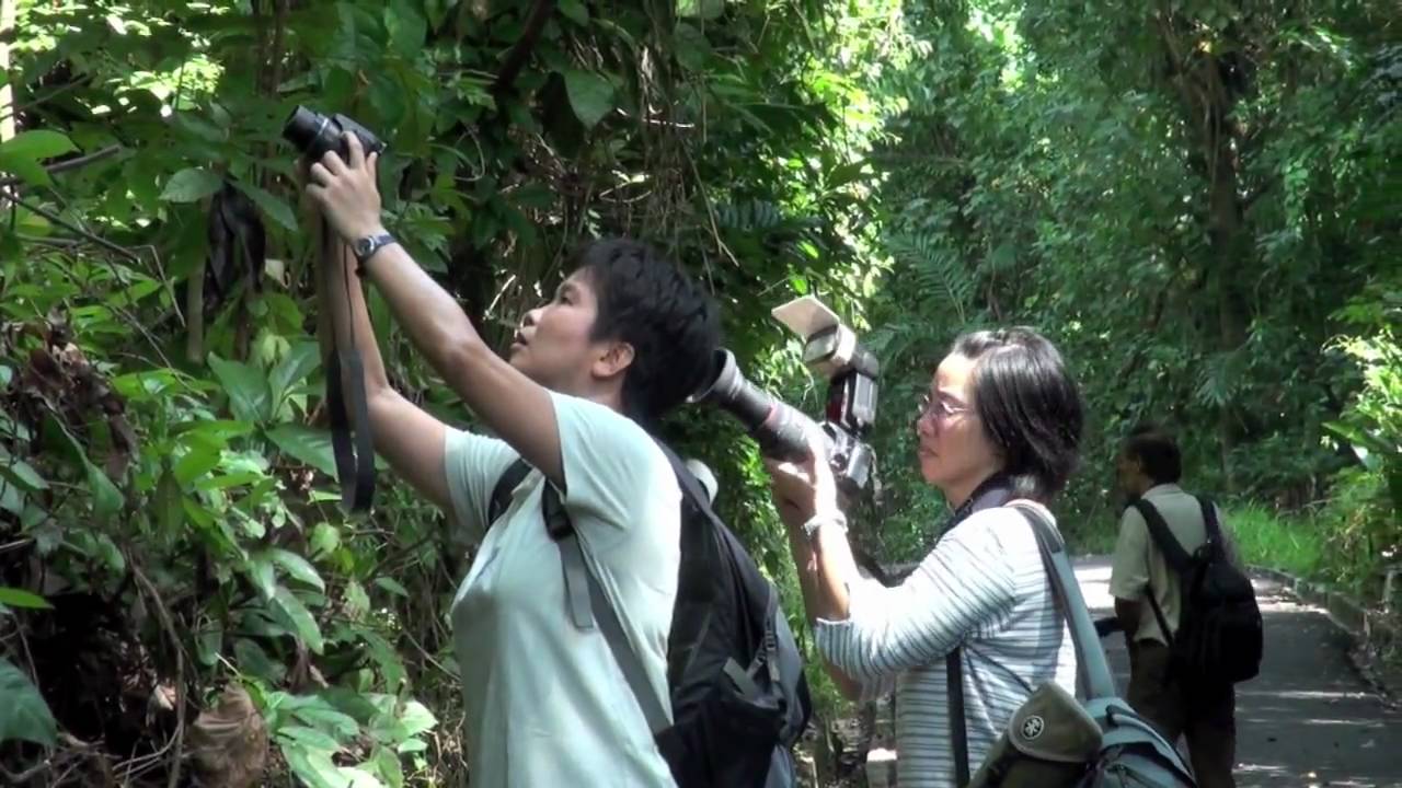 Found Something Interesting 23rd May 2010 - YouTube