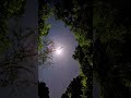 #nature #naturelovers #moon #moonlovers #pixel9a #bhu
