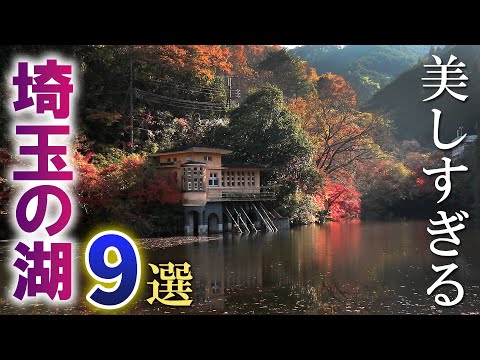 埼玉の美しい湖沼9選/一度は見てみたい埼玉の水絶景/埼玉観光旅行vlog