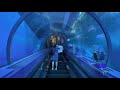 Yokohama Sea Paradise Hakkeijima  - Aqu&aacute;rio