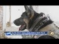 Elite Navy SEAL dog finds new role in San Diego