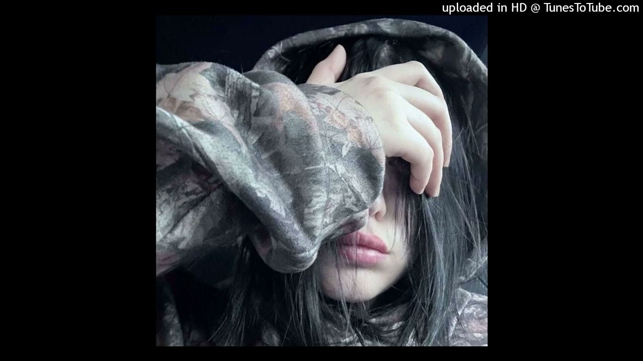 free gunnr + nettspend + 2hollis type beat remembertt