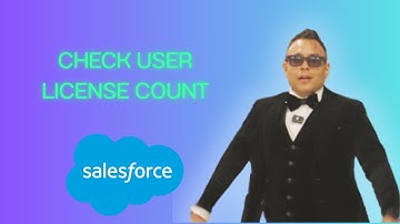How to check User License Count in salesforce [2025 full guide]