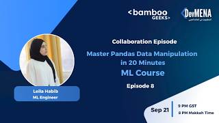 Master Pandas Data Manipulation in 20 Minutes ( Leila Habib )