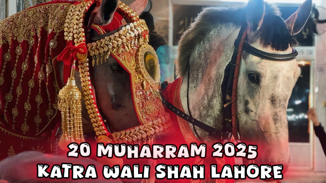 20 Muharram | Zuljanah Sakhi Badshah | Katra wali Shah Lahore 2025-1447 #zuljanah