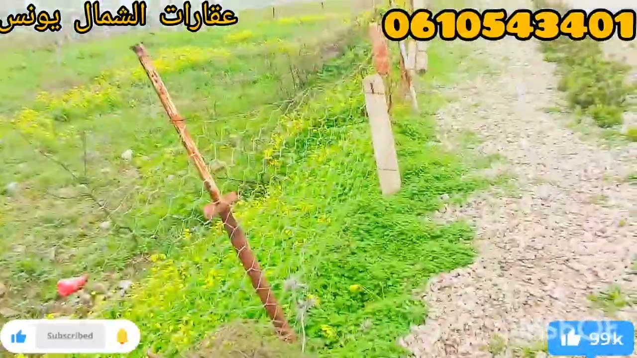 عشاق الطبيعة 🏡جبتلكم هد ارض محفظة💥 ف قلب الطبية مغروسة باشجار التين🍃 موقع بارونامي تمن مناسب🌟 